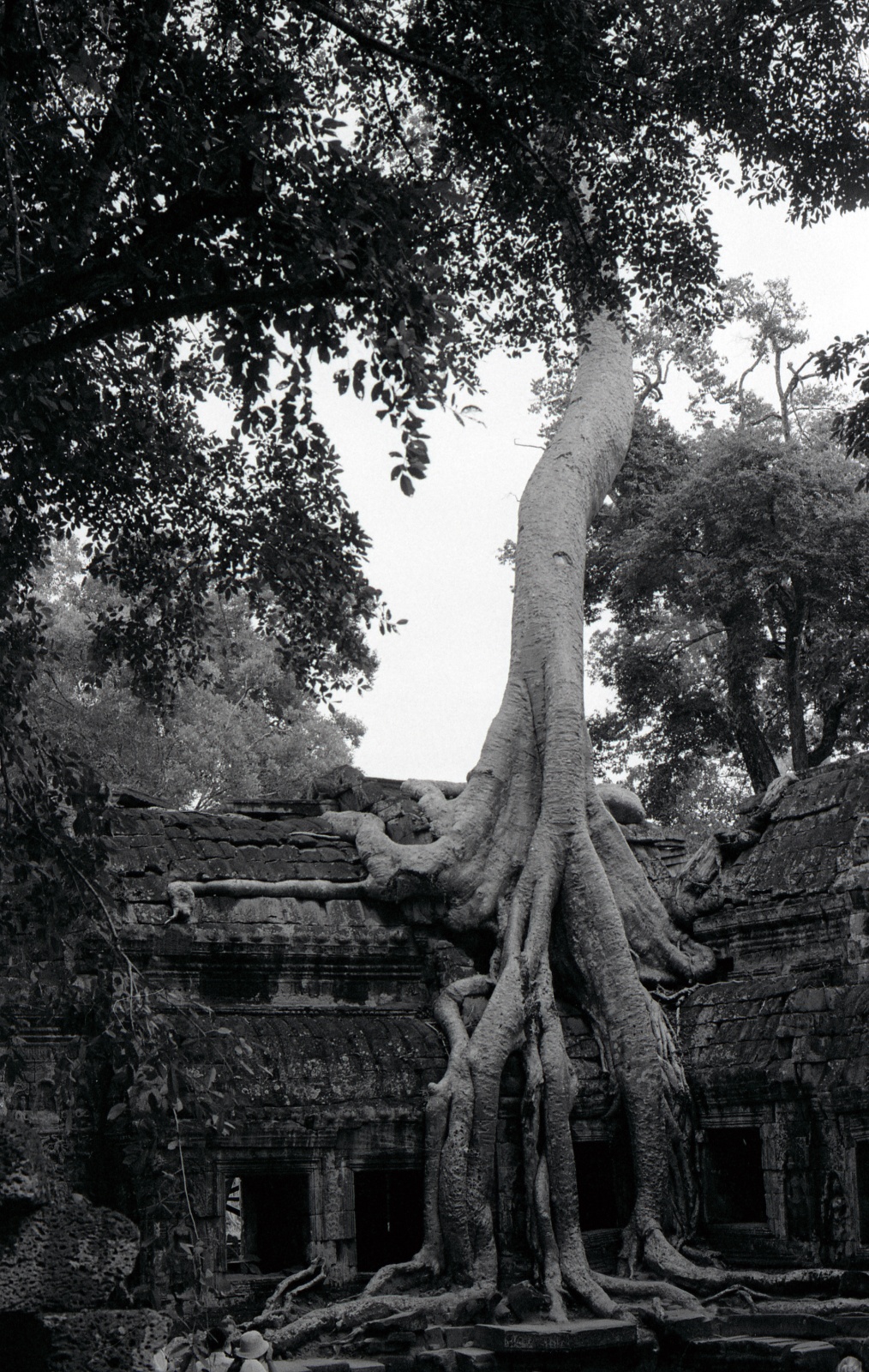 Temples of Angkor, Cambodia